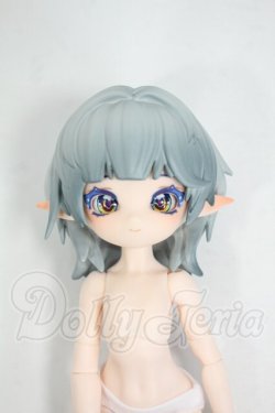 画像1: マッシュルームマイセリウムシリーズ/マイセナ・サブシアノセファラ Y-26-05-22-023-WT-ZY