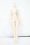 画像1: MDD/ベースボディ2.0(DD-f3) Y-26-05-22-018-WT-ZY (1)