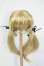 画像3: 【DOLK×RING DOLL】Alice01 衣装セット Y-26-05-22-147-WT-ZY (3)
