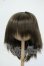 画像1: 8-9inch/ウィッグ Y-26-05-22-156-WT-ZY (1)