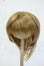 画像1: 8-9inch/ウィッグ Y-26-05-22-154-WT-ZY (1)