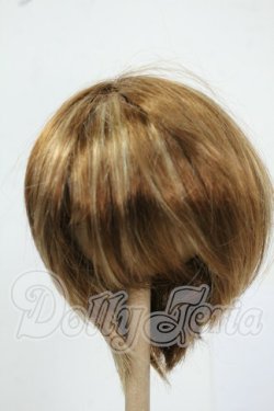 画像1: 8-9inch/ウィッグ Y-26-05-22-160-WT-ZY