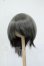 画像1: 7-8inch/ウィッグ Y-26-05-22-173-WT-ZY (1)