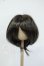 画像1: 8-9inch/ウィッグ Y-26-05-22-178-WT-ZY (1)