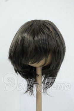 画像1: 8-9inch/ウィッグ Y-26-05-22-179-WT-ZY