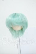 5.5inch/ウィッグ Y-26-05-22-236-WT-ZY