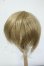 画像2: 8-9inch/ウィッグ Y-26-05-22-237-WT-ZY (2)