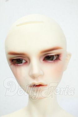 画像1: SDGrBOY/ウィリアムズ?The Diligent Scholar? Y-26-05-22-211-WT-ZY