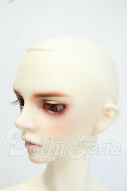 画像3: SDGrBOY/ウィリアムズ?The Diligent Scholar? Y-26-05-22-211-WT-ZY