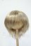 画像1: 8-9inch/ウィッグ Y-26-05-29-276-WT-ZY (1)