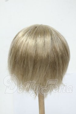 画像2: 8-9inch/ウィッグ Y-26-05-29-276-WT-ZY