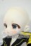 画像4: Tinyfox/輝き夢見るペンギン デビー1/6スケール Y-26-05-29-102-WT-ZY (4)