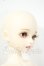 画像3: Myoudoll/Delia Y-26-05-29-103-WT-ZY (3)