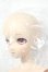 画像4: DDS/ちかげ Y-26-06-02-002-WT-ZY (4)