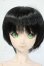 画像1: DDB/ドリームチョイス DC-H-16 Y-26-06-02-003-WT-ZY (1)