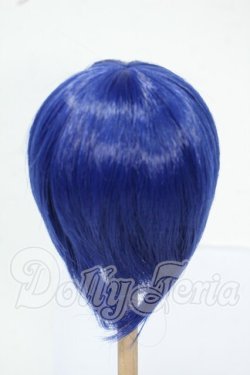 画像2: 8-9inch/ウィッグ Y-26-06-02-121-WT-ZY