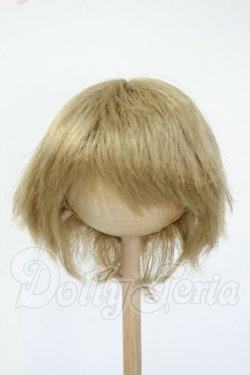 画像1: 8-9inch/ウィッグ Y-26-06-02-156-WT-ZY