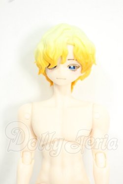 画像1: 悸動瞬息 シチリアの追憶/西西里往事 エドアルド ゴールデンレトリバー Y-26-06-09-114-WT-ZY