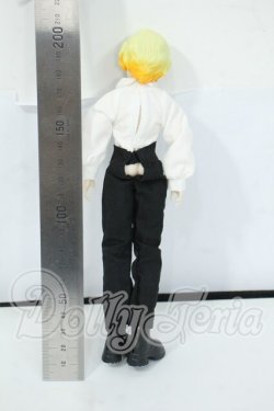 画像3: シチリアの追憶/ゴールデンレトリバー Y-26-06-02-105-WT-ZY