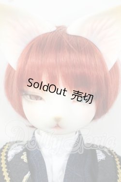 画像1: DEAR MINE/DUNE cool ver. 文豪 limited Y-26-06-09-011-WT-ZY