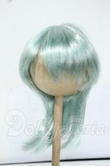 8-8.5inch/ウィッグ Y-26-06-09-020-WT-ZY