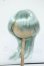 画像1: 8-8.5inch/ウィッグ Y-26-06-09-020-WT-ZY (1)