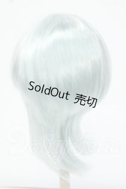 画像2: 8-8.5inch/ウィッグ Y-26-06-09-020-WT-ZY