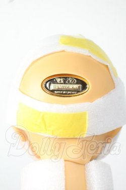 画像5: SD17BOY/レグルス 星間学寮 Ver. Y-26-06-09-009-WT-ZY