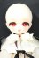 画像4: TinyFox/夕暮れ子猫 カサンドラ  Y-26-06-09-111-WT-ZY (4)