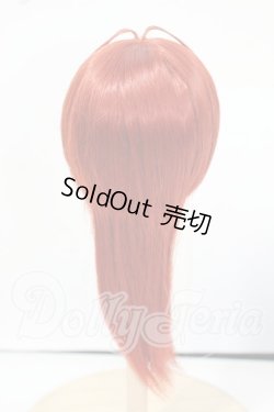 画像2: 6-7inch/ウィッグ　DOLKオリジナル Y-26-06-09-151-WT-ZY