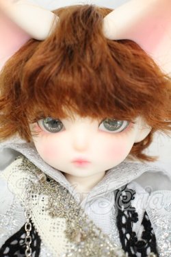 画像1: 【DOLK×DEAR MINE】/BENJAMIN Autumn leaves Limited ＜Special Reissue 2024＞ Y-26-06-09-005-WT-ZY