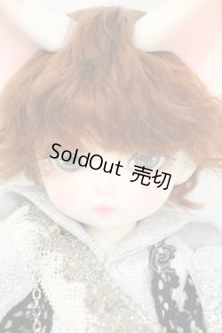 画像1: 【DOLK×DEAR MINE】/BENJAMIN Autumn leaves Limited ＜Special Reissue 2024＞ Y-26-06-09-005-WT-ZY