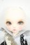 画像2: 【DOLK×DEAR MINE】/BENJAMIN Autumn leaves Limited ＜Special Reissue 2024＞ Y-26-06-09-005-WT-ZY (2)