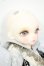 画像3: 【DOLK×DEAR MINE】/BENJAMIN Autumn leaves Limited ＜Special Reissue 2024＞ Y-26-06-09-005-WT-ZY (3)