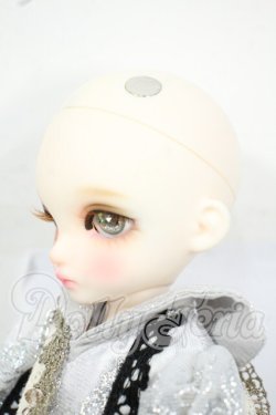 画像4: 【DOLK×DEAR MINE】/BENJAMIN Autumn leaves Limited ＜Special Reissue 2024＞ Y-26-06-09-005-WT-ZY