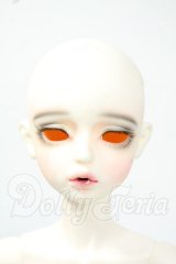 FOVEO/1/4 Delma Y-26-06-09-004-WT-ZY