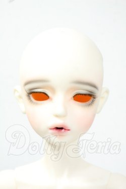 画像1: FOVEO/1/4 Delma Y-26-06-09-004-WT-ZY