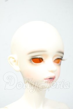画像2: FOVEO/1/4 Delma Y-26-06-09-004-WT-ZY