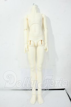 画像1: SDGrB/ウィリアムズボディ Y-26-06-09-244-WT-ZY