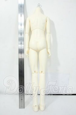 画像2: SDGrB/ウィリアムズボディ Y-26-06-09-244-WT-ZY