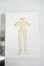 画像2: ジェニー/OF:Galum Dress Collection:衣装 Y-26-06-09-219-WT-ZY (2)