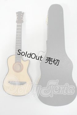 画像1: SDM＆MSD/OF:アコースティックギター＆ケース Y-26-06-16-231-WT-ZY