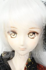DDdy/ドリームチョイスDC-H-07ヘッド Y-26-06-23-091-WT-ZY