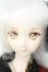 画像1: DDdy/ドリームチョイスDC-H-07ヘッド Y-26-06-23-091-WT-ZY (1)
