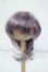 画像1: 6-7inch/ウィッグ Y-26-06-30-060-WT-ZY (1)