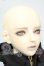 画像2: RINGDOLL/Warlock Apprentice-Hui Y-26-06-30-260-WT-ZY (2)