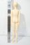 画像5: WITH DOLL/Ash Y-26-06-30-255-WT-ZY (5)
