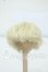 画像1: 5.5inch/ウィッグ Y-26-06-30-055-WT-ZY (1)