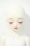 画像1: Asleep eidolon/mini 眠相思豆(Azuki) Y-26-07-07-001-WT-ZY (1)