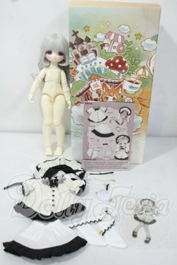 画像7: TinyFox/ミス・オイスター ウェステ Y-26-07-07-247-WT-ZY